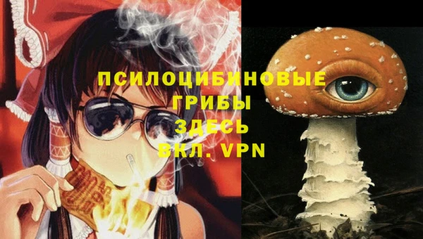 круглые Богородицк
