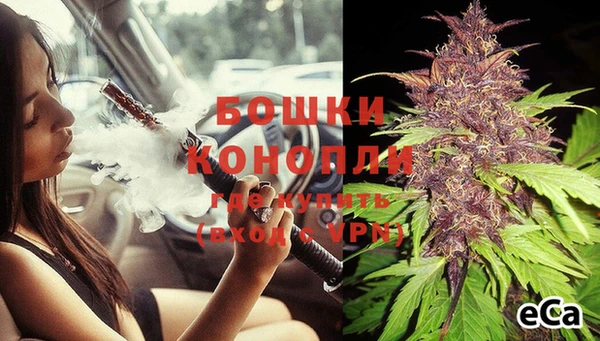 шишки Богданович