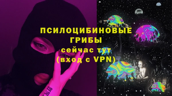 круглые Богородицк