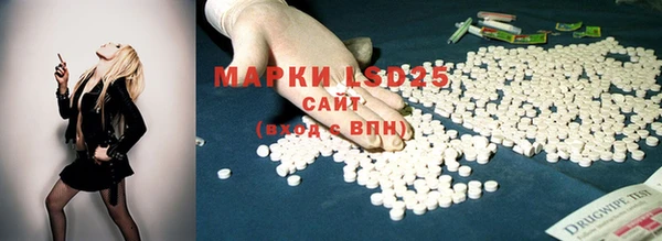 PSILOCYBIN Богородск