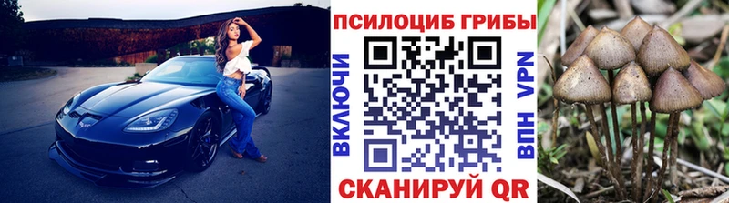 Галлюциногенные грибы ЛСД  Шебекино 